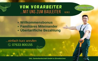 Vom Vorarbeiter mit uns zum Bauleiter (m/w/d)